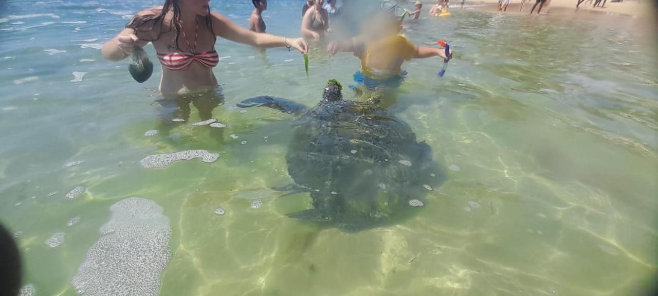 Galle Side Homestay エクステリア 写真